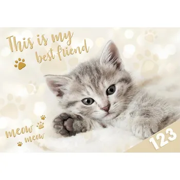 desky na sešit MFP desky na číslice Kočka 8021040