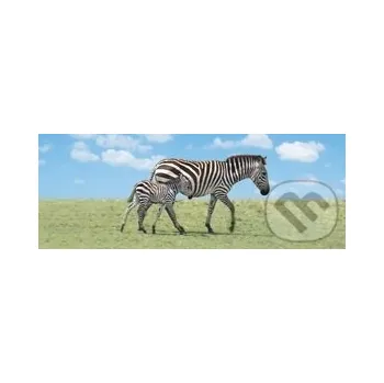 Doplněk ke knize Záložka Úžaska Zebra s mládětem - ABC Develop ABC Develop