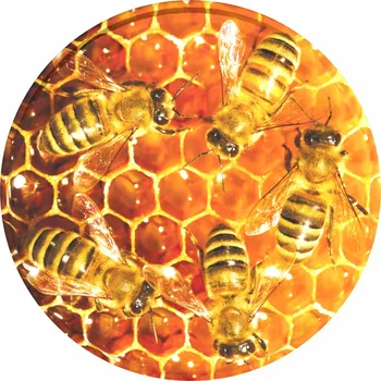 Víčko na zavařovací sklenici Včelí školka Víčko TO 82 pět včel