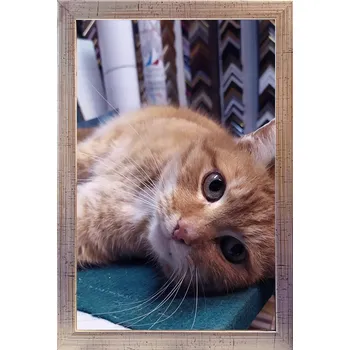 Obraz RÁMEČEK PRO ZAVĚŠENÍ A POSTAVENÍ NA FOTOGRAFIE 15X23 15 MM DŘEVO