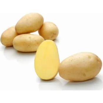 Semeno Sadbové brambory Glorietta Balení: 25kg