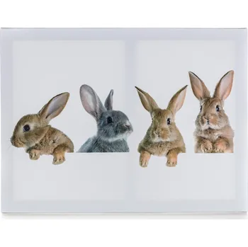 Obraz obraz 4 KRÁLÍCI 40x30x2cm
