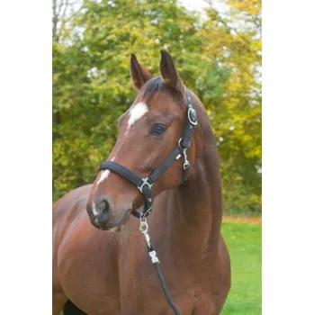 Ohlávka Dexter s fleesem vel.4 černá