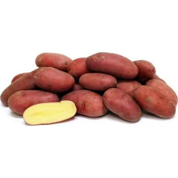 Semeno Sadbové brambory Esmee Balení: 5kg