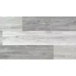 Vinylová podlaha Economy vinyl click 0,3 - 4302 - 218 x 1210 mm