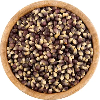 Vital Country Kukuřice na popcorn Blue Diamond BIO 500 g