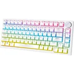 YENKEE YKB 31 ODYSSEY Hotswap