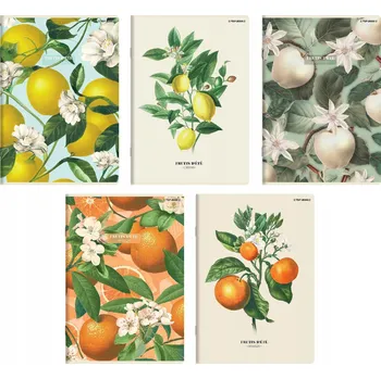 Sešit Sešit A5 s linkami, 60 listů, měkká obálka, vícebarevný TOP-2000