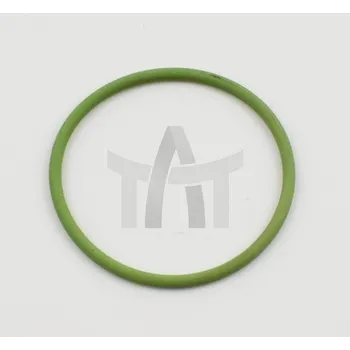 Těsnicí kroužek DELPHI 7200-0268