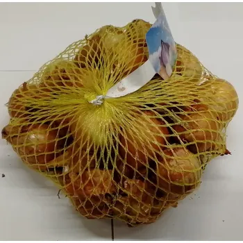 Semeno Cibule sazečka šalotka žlutá