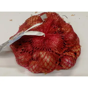 Cibulovina Cibule sazečka šalotka červená