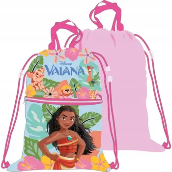 Obraz Taška Mister Vaiana 42 x 35 cm