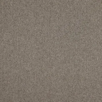 Koberec AKCE: 100x300 cm Metrážový koberec Dublin 907 hnědý, šíře, hnědá, ab (mřížka), chodba / předsíň, Avanti - 1 rok na vrácení + DOPRAVA ZDARMA k Vám i zpět