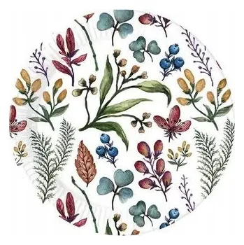 Talíř TALÍŘKY BYLINKY BAREVNÉ KVĚTY 23 CM 8 KS