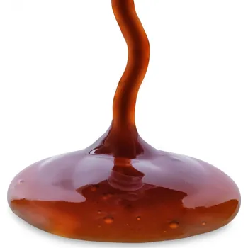 Sirup Datlový sirup BIO 5 kg LES FRUITS DU PARADIS