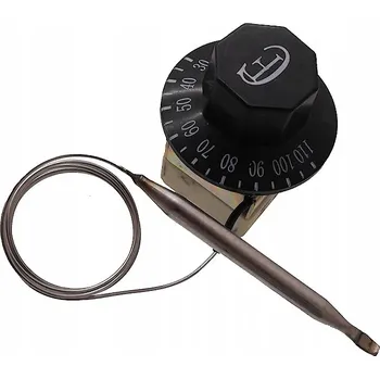 Kapilárový termostat s relé 30°C~110°C 250V AC
