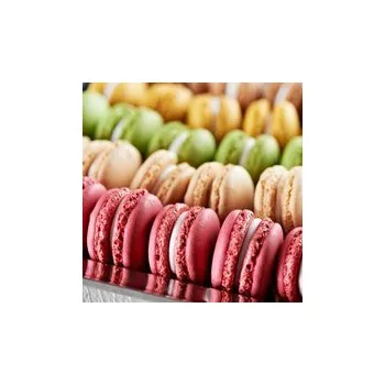 Macaronmix Macaronmix směs na výrobu makronek 10 kg