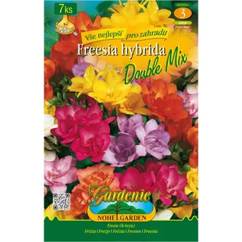 Sazenice Fresie plnokvětá DOUBLE, směs 7ks
