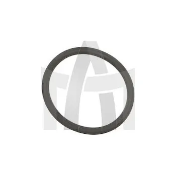 O-kroužek vstřikovače RVI 24X2,5 LEMA LE122890