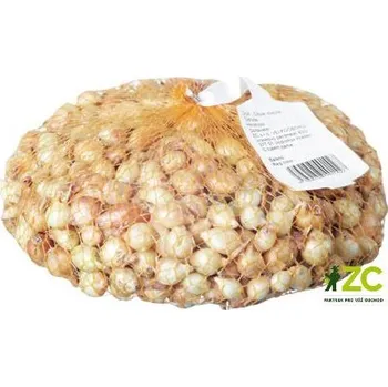 Semeno Cibule sazečka - Štuttgartská 250g