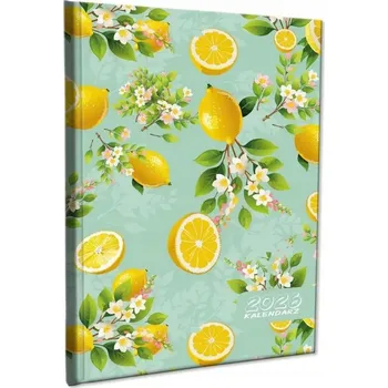 Kalendář Knižní kalendář 2026 A5 EV-Corp vícebarevný