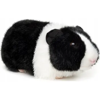 plyšák Plyšák Morče bílo-hnědé - 20 cm