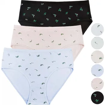 Kalhotky FANNIFEN Dámské klasické kalhotky PE1014 - 3 kusy v balení Velikost: 2XL