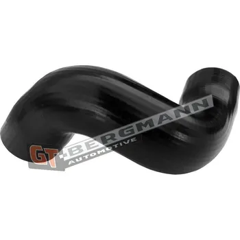 Turbodmychadlo Hadice plnícího vzduchu GT BERGMANN GT52-689