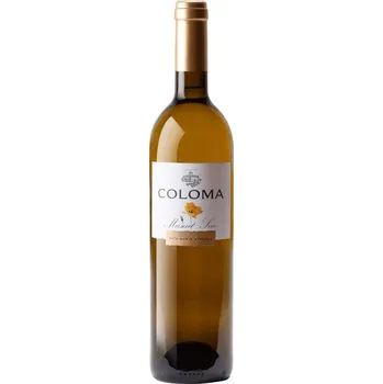 Víno Bodegas Coloma Muscat Seco blanco suché bílé 2024 12,5% 0,75 l (holá láhev)