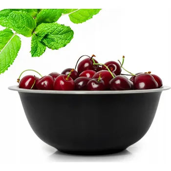 Miska z nerezové oceli nerezová 24 cm Černá