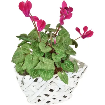 Květináč Vingo Bílý květináč trojhranný Rozměry (cm): 18x18, v. 10