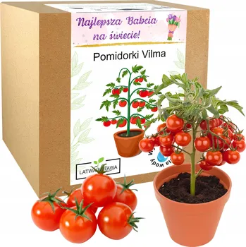 Obraz Dárek pro babičku a dědečka, nejlepší babička na světě, rajčátka