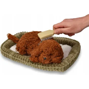 Obraz PES PEJSEK SPÍCÍ PUDL DÝCHAJÍCÍ ŠTĚNĚ SADA S PELÍŠKEM 3+