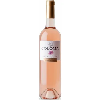 Víno Bodegas Coloma Pinot Noir rosé suché růžové 2024 12,5% 0,75 l (holá láhev)