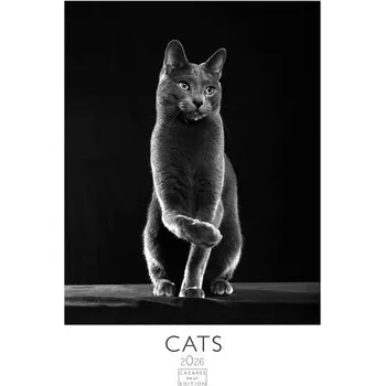 Kalendář Cats 2025 L 59x42cm [DE] (2025, Kalendář, Casares Fine Art Edition)