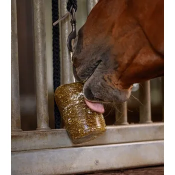 Krmivo pro koně Bylinkový liz Waldhausen