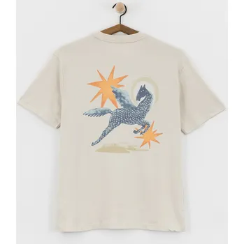 RVCA Pegasus (ceramic) XL, šedá