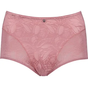 Dámské spodní prádlo Kalhotky SUSA Altrosa 598304 42