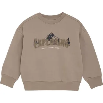 Chlapecká mikina enfant Beige 1177930 110