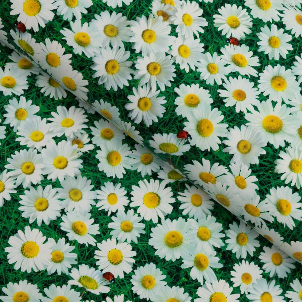 PVC ubrus Kopretiny na zeleném PV-161 - metráž š. 140 cm