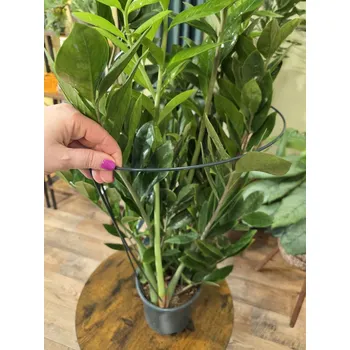 Kovová kruhová opora mix velikostí (Vhodná na klátivé velké květiny)