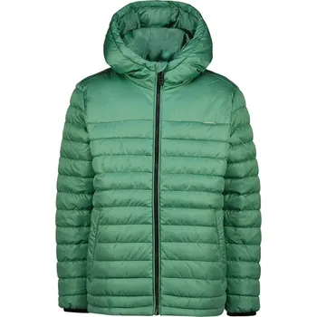 Chlapecká bunda RAIZZED® Grün 3054110 128