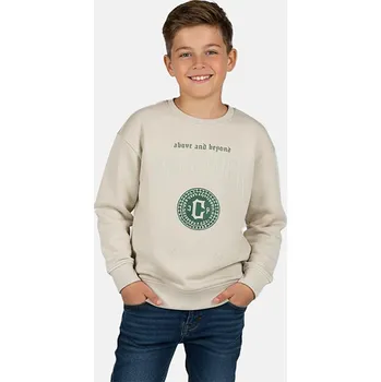 Chlapecká mikina Cars Beige 8568236 176