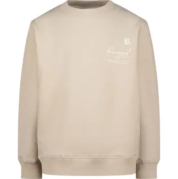 Chlapecká mikina RAIZZED® Taupe 6496438 176