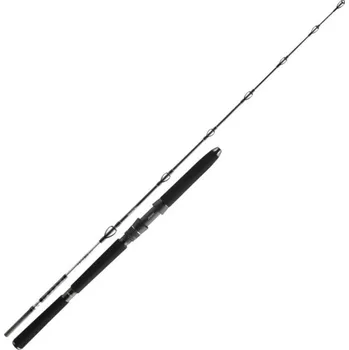 Rybářský prut Prut Daiwa BG Deep Sea 2,20m 150-400gr