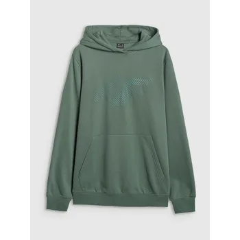 Oblečení a móda Mikina 4F Grün 9219597 L