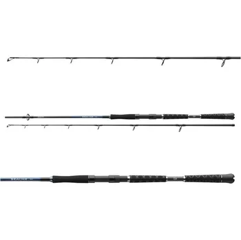 Rybářský prut Prut Daiwa Sealine Pilk 2,25m 50-125g