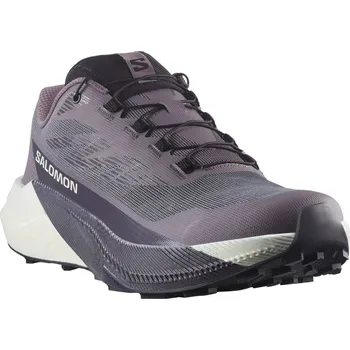 Dámská běžecká obuv Salomon Pulsar W L47975500 - excalibur/vanila iron 37 1/3