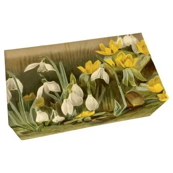 Mýdlo Dárkové mýdlo Winter Aconite & Snowdrops 200 g