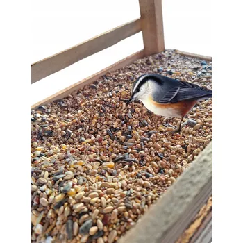 Krmivo pro ptáka Krmivo pro volně žijící ptáky ořechové krmítko slunečnice 10 kg koule